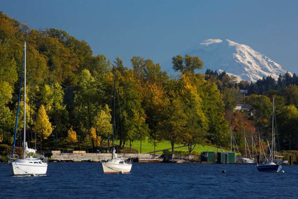 Boats cruising Lake Washington with a view of fall forests and Mount Rainier.