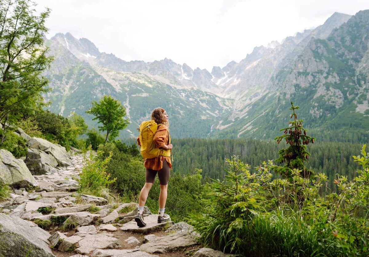 A woman taking in the view of mountains and forests while hiking.